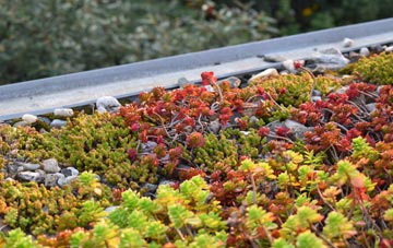 the cost of Cwm Penmachno green roof installation