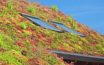 Cwm Penmachno living roof systems